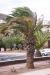 tenerife1835.jpg - 2010:01:30 15:32:02