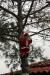 201001280845m.jpg - 2010:01:28 12:39:50