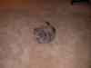 SANY1049.JPG - 2008:08:25 19:08:06