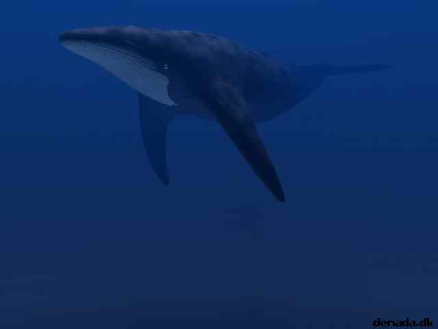 * Image 10