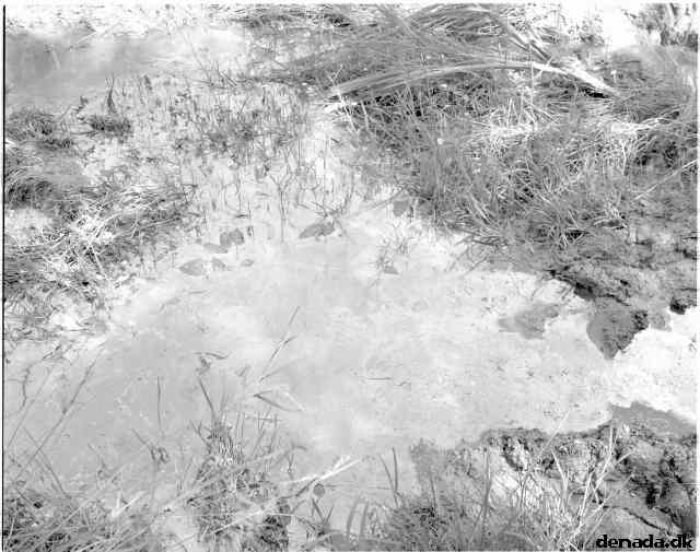 * Image 16